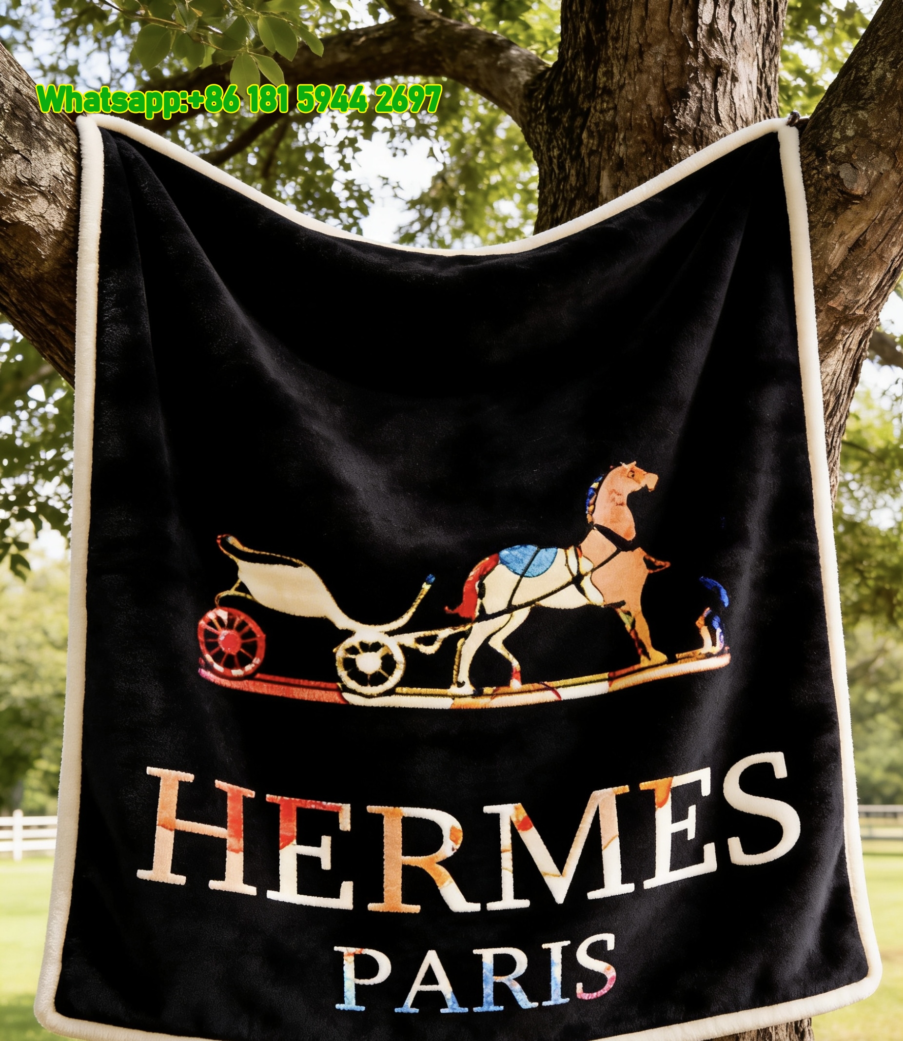 Hermès Colorful Horse Carriage Flannel Fleece Throw Blanket IMG_4953